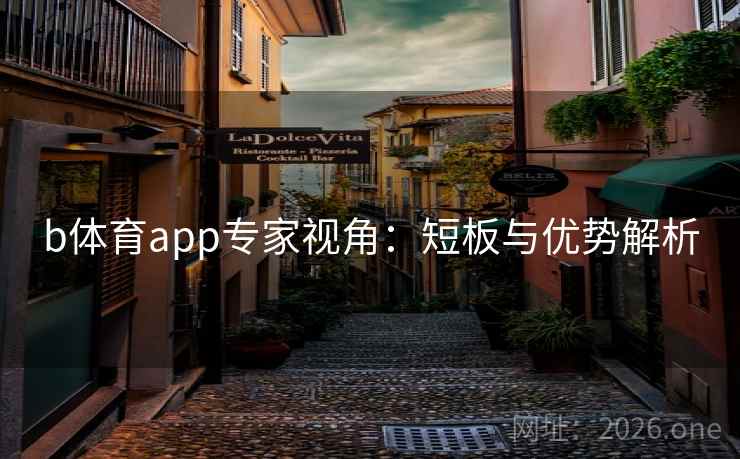 b体育app专家视角:短板与优势解析 b体育app专家视角:短板与优势解析