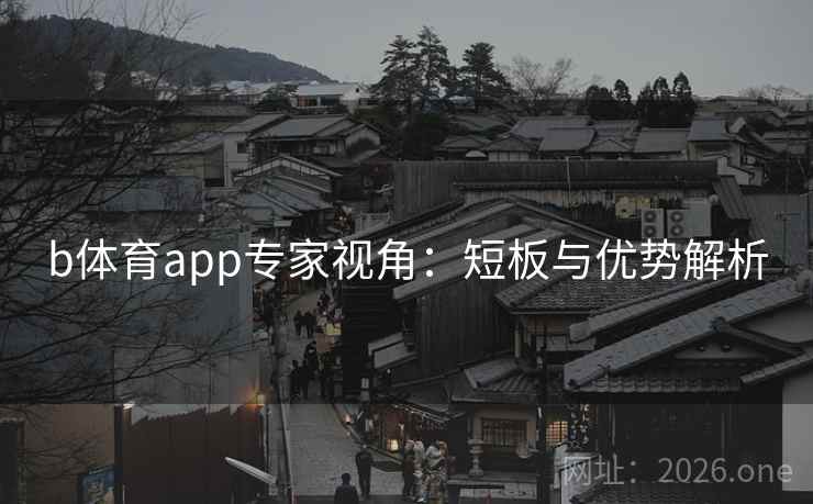 b体育app专家视角：短板与优势解析