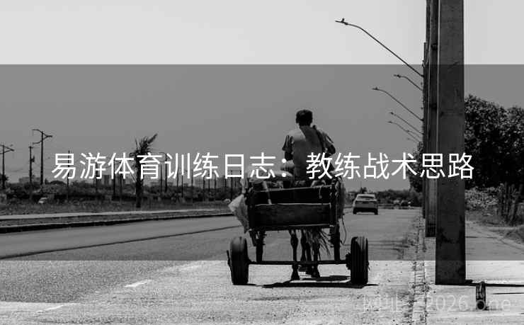 易游体育训练日志：教练战术思路