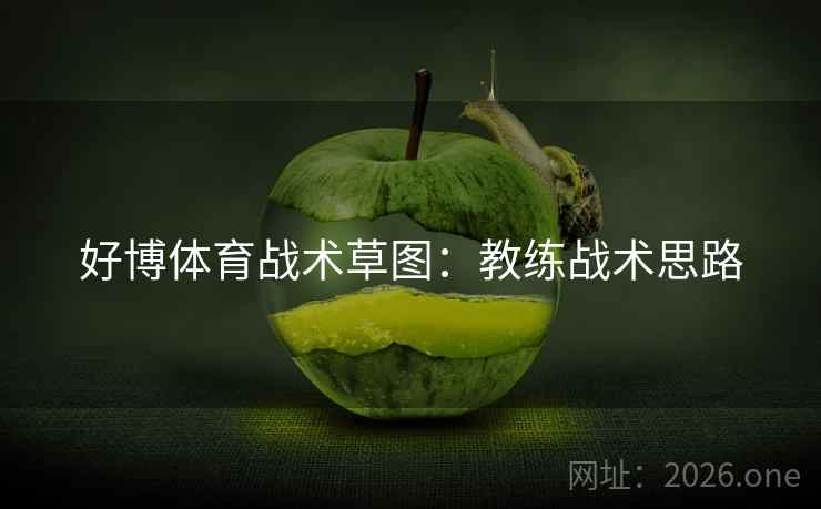 好博体育战术草图：教练战术思路