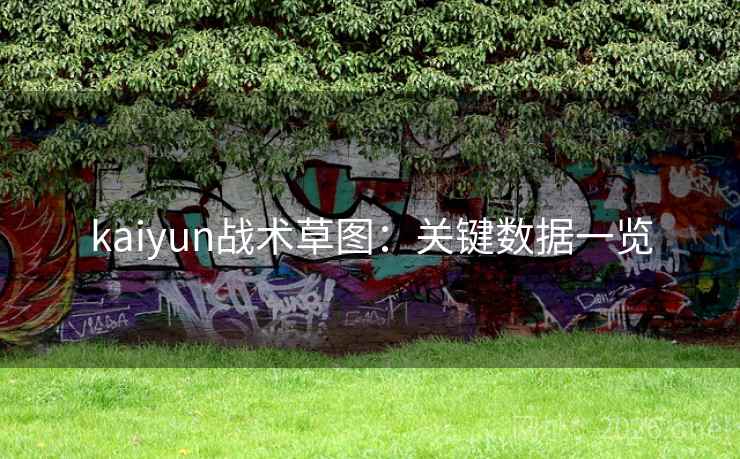 kaiyun战术草图：关键数据一览