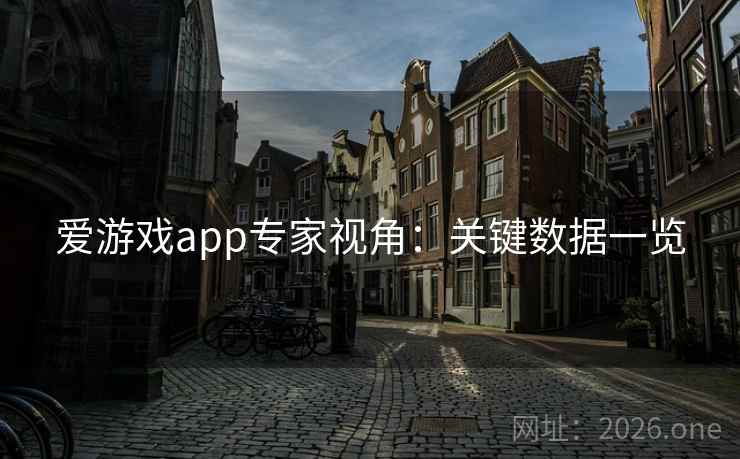 爱游戏app专家视角：关键数据一览