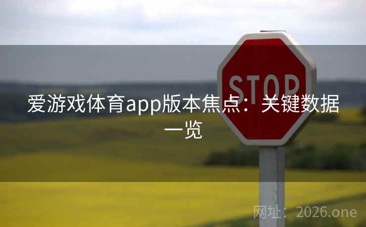 爱游戏体育app版本焦点：关键数据一览